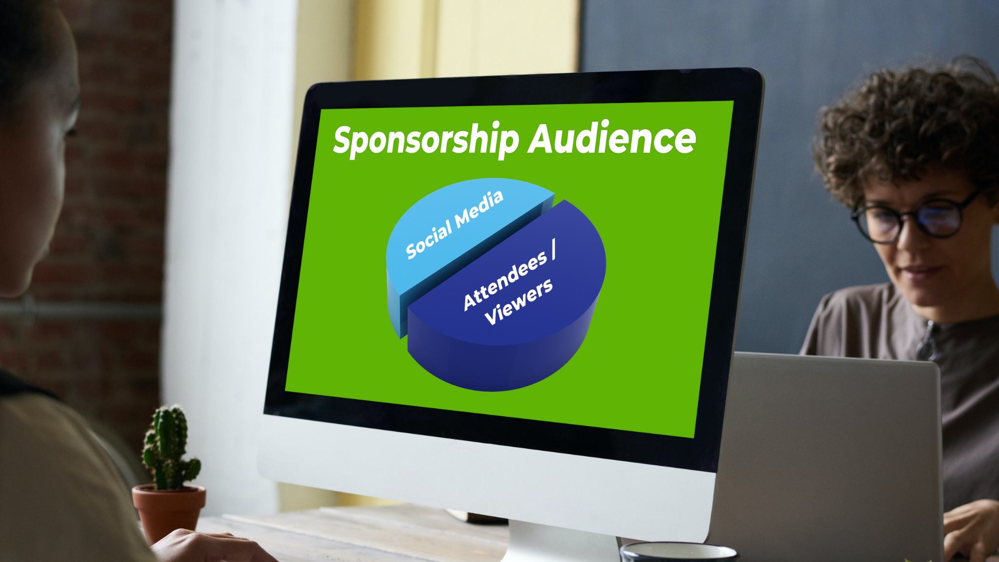 Sponsorship Audience Insights